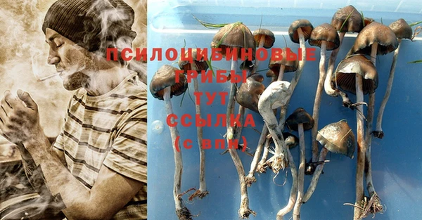 прущая мука Армянск