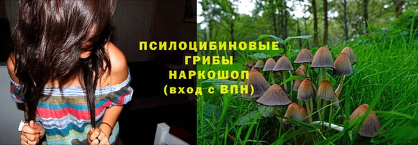 дурь Алексин
