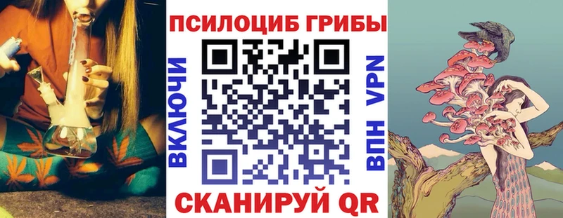 закладки  Александровское  Псилоцибиновые грибы Magic Shrooms 