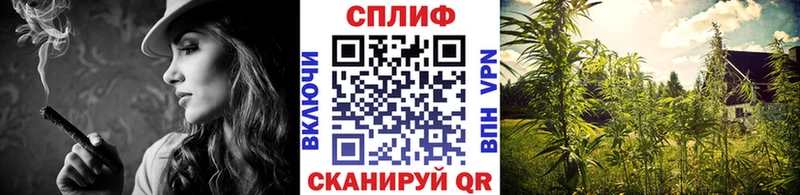 наркотики  Александровское  Бошки Шишки план 
